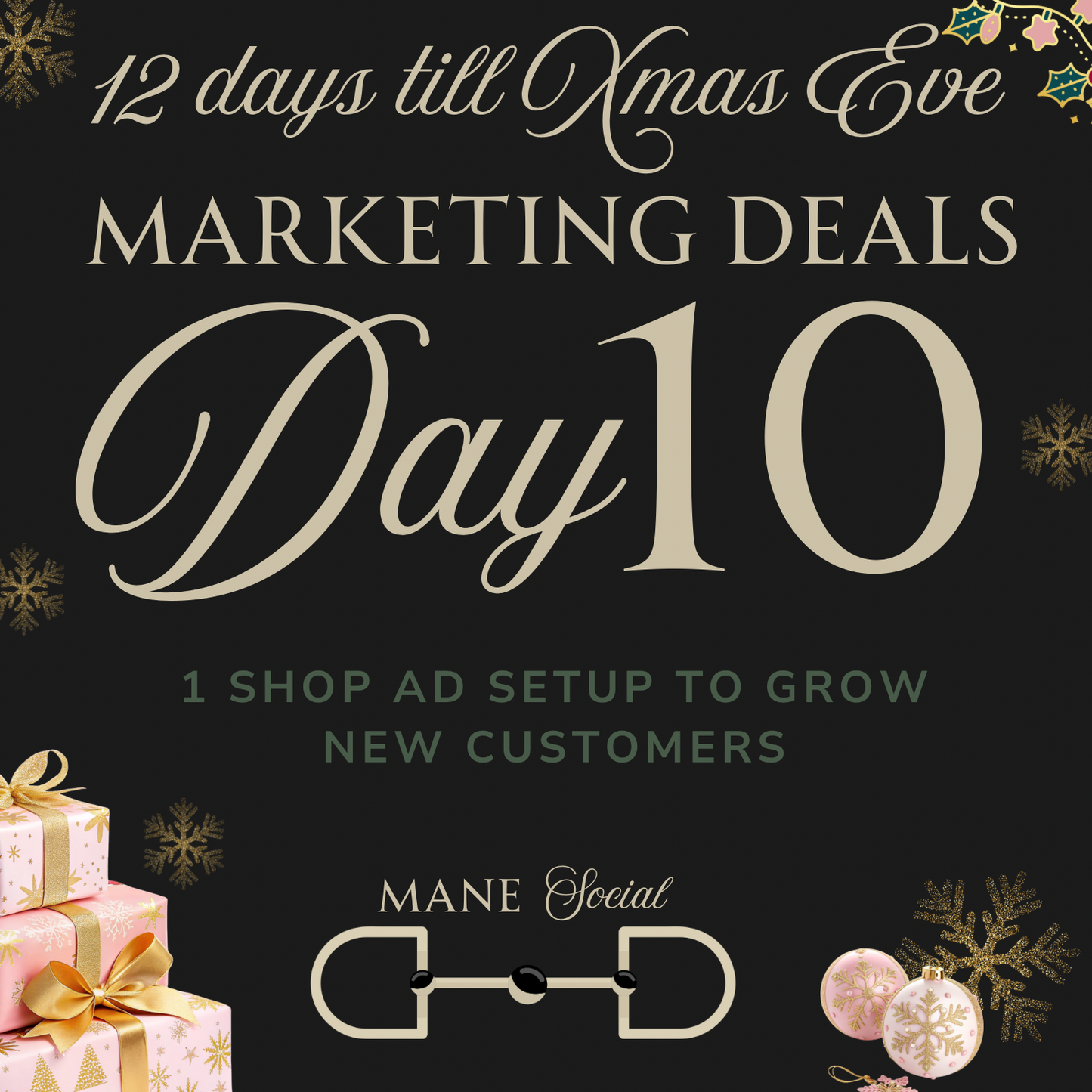 1 Shop Ad Setup to Grow New Customers