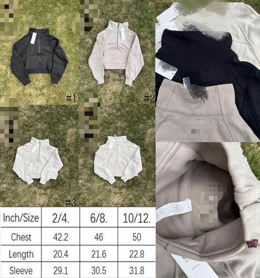 A-Embroidered Sweatshirt