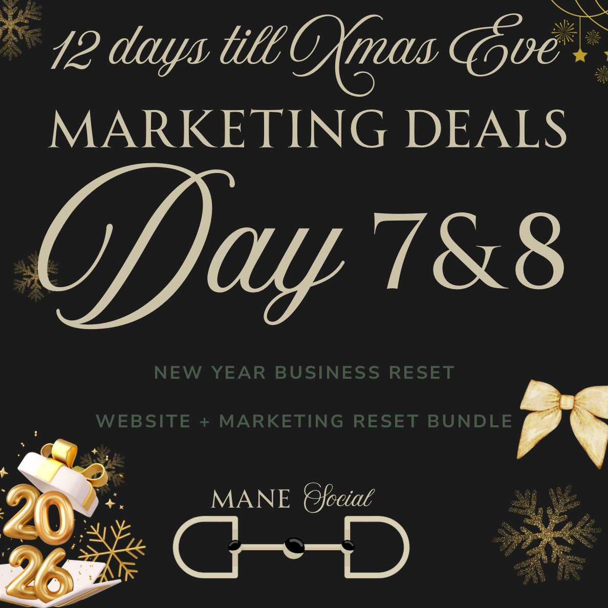 NEW YEAR BUSINESS RESET  Website + Marketing Reset Bundle