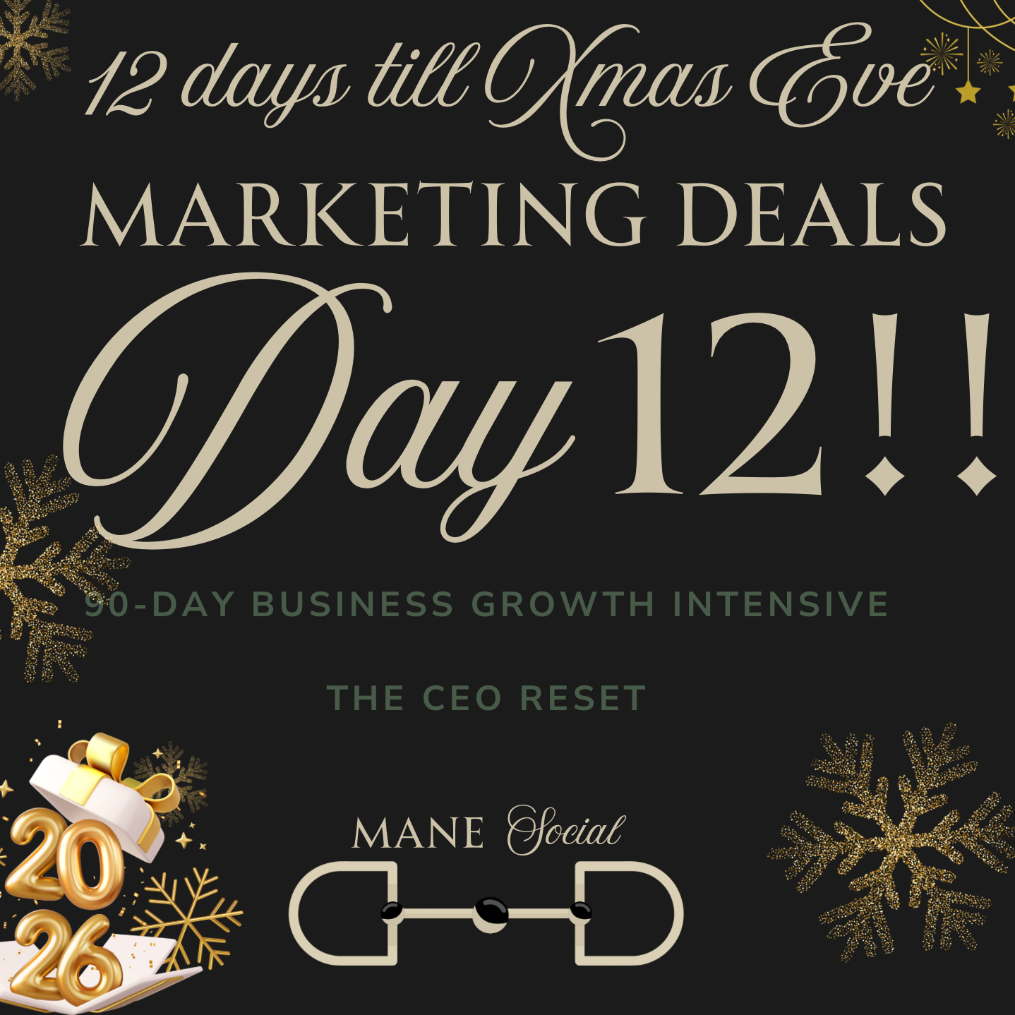 90 Day CEO RESET
