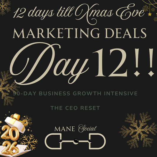 90 Day CEO RESET