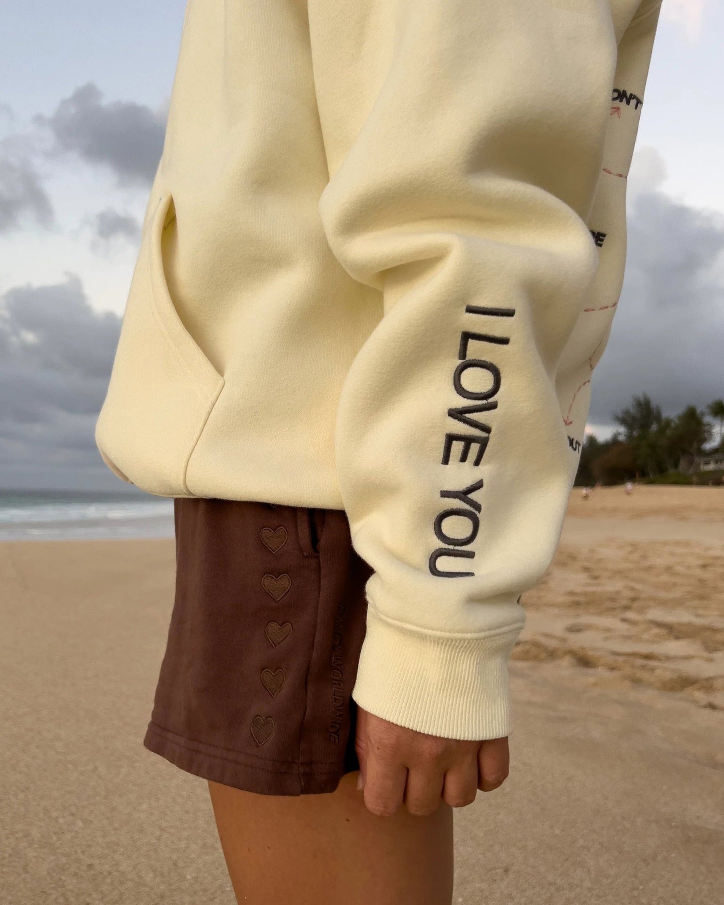 Embroidered hoodie